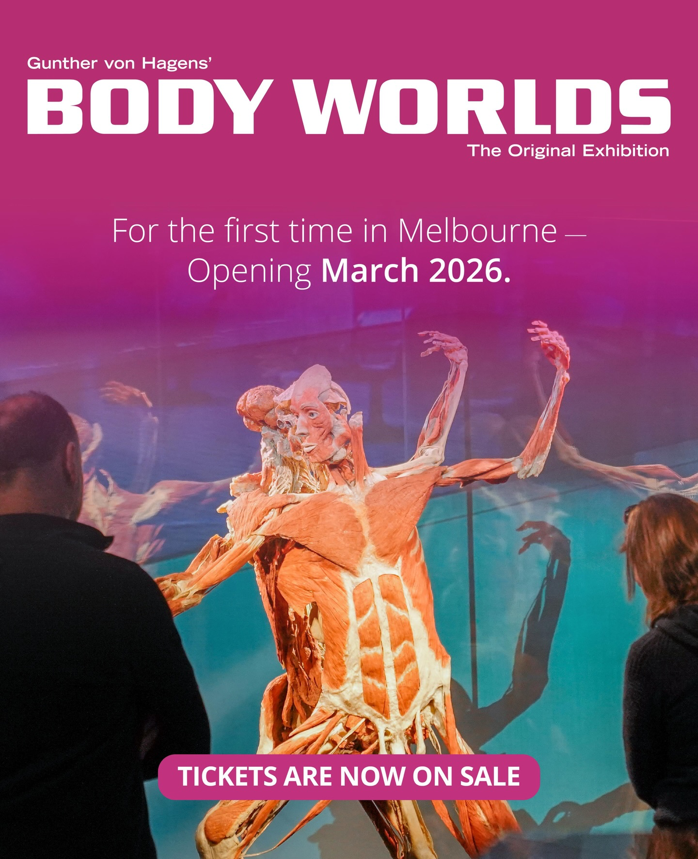 BODY WORLDS: The Anatomy of Happiness